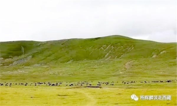 昌都•贡觉，必须去的六大打卡地，风景诱人