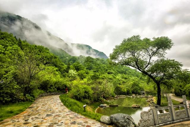 走进雨中的照金，收藏一场北方烟雨的温柔