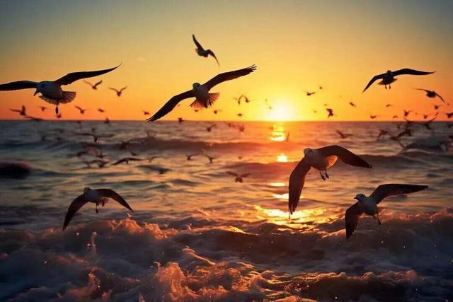 昆明冬日顶流回归！约起！