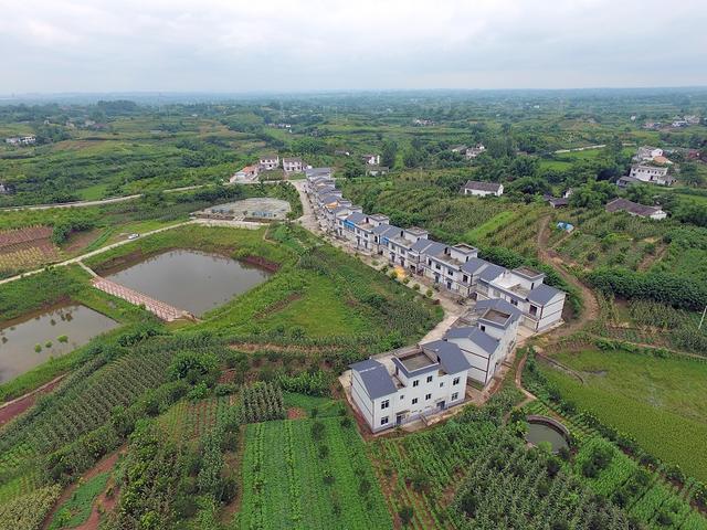 [四川 自贡市沿滩区瓦市镇]