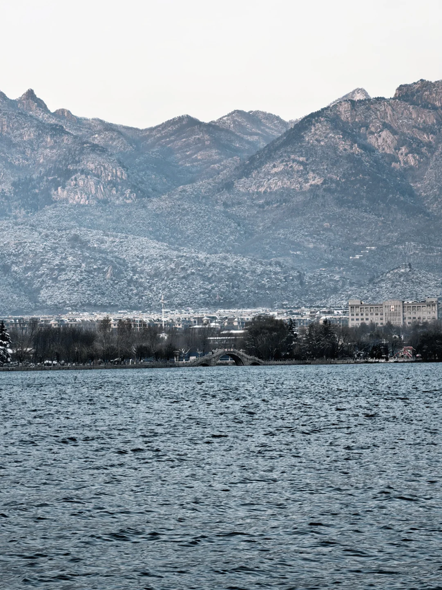 快看！从哈尔滨的冰雕里，挖出了整个真·泰安！