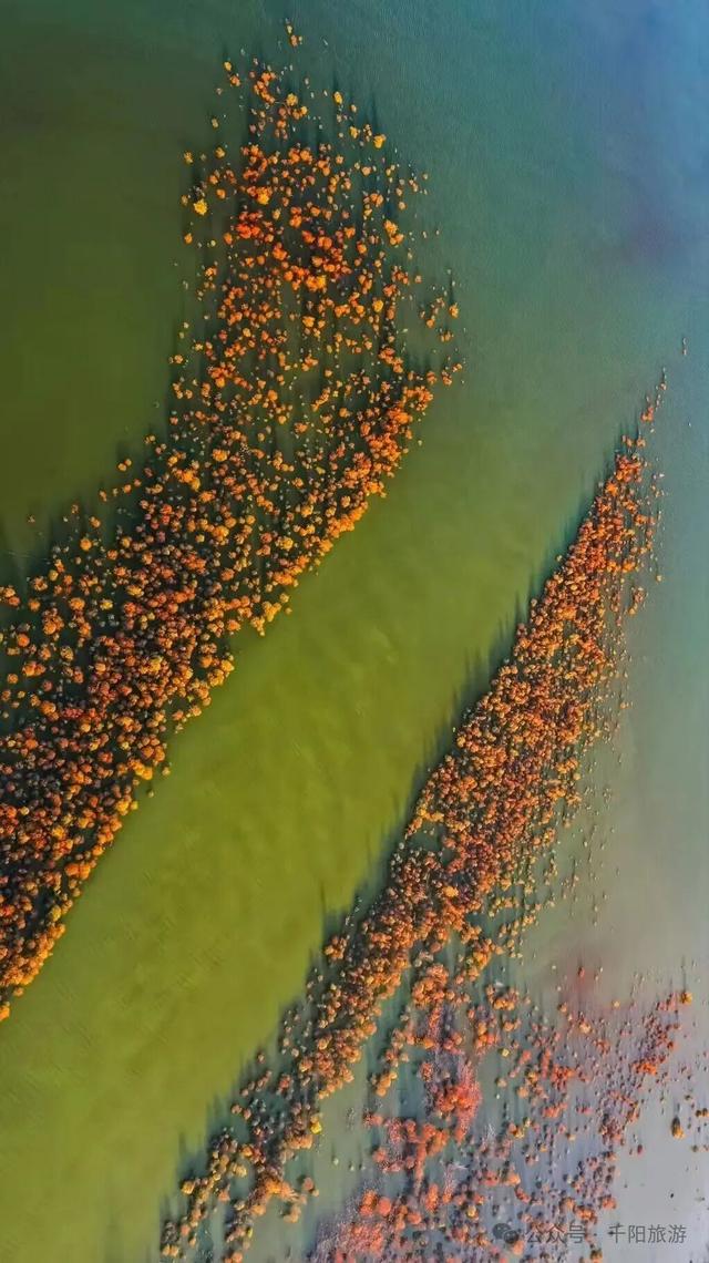 我在千湖湿地撞见了冬天的温柔