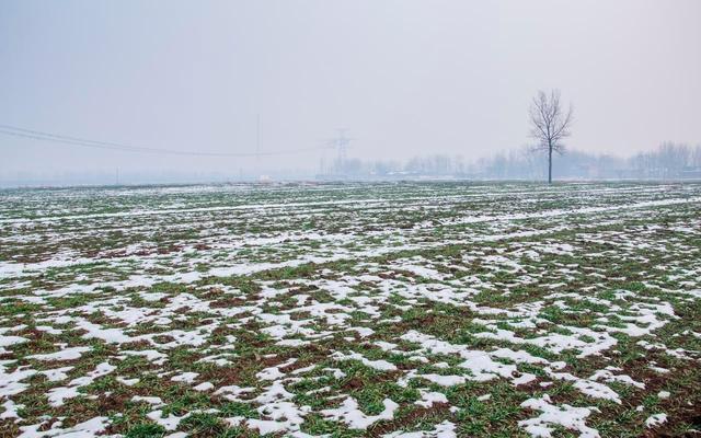 “不怕立冬晴一天，就怕立冬一天雨	”，今日立冬	，雨天有啥预兆？
