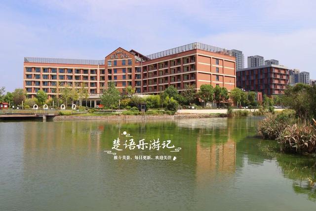 宁波慈溪这处风景被人忽略但很优美，即将迎来绚烂时刻，值得游玩