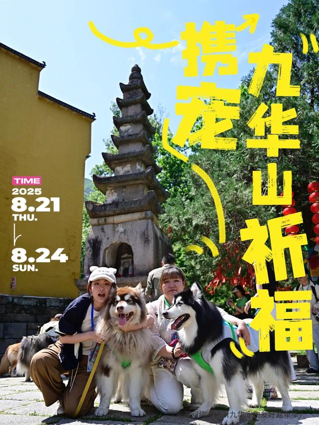 这个8月，拖猫带狗闯江南竹海~