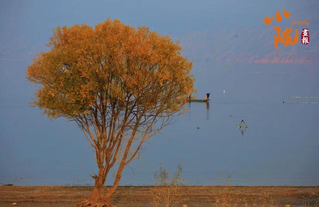 【小陇画报·429期】永靖秋韵：黄河之畔的诗意画卷
