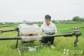 “95后”新农人，“开着飞机”干农活图片