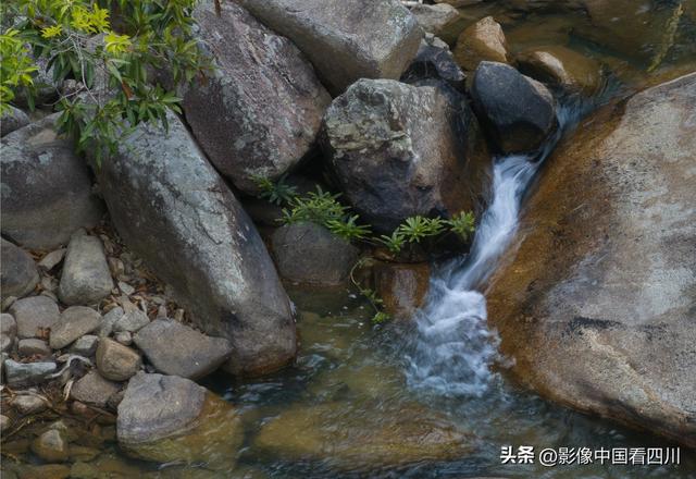 海南霸王岭国家森林公园