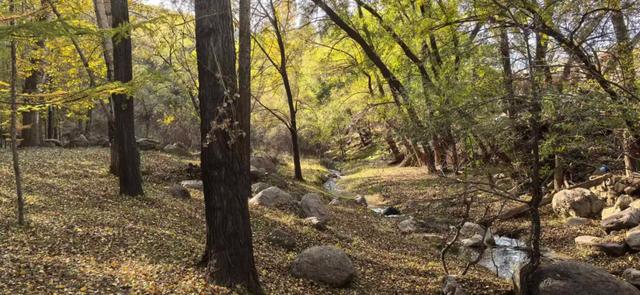 和林格尔之绿色交响曲:生态赋能绘新卷 奋楫扬帆启新程