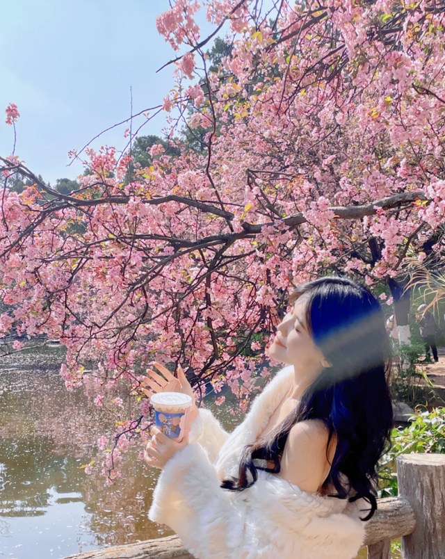 昆明冬旅：一张在春天里「逾期停留」的避冬签证