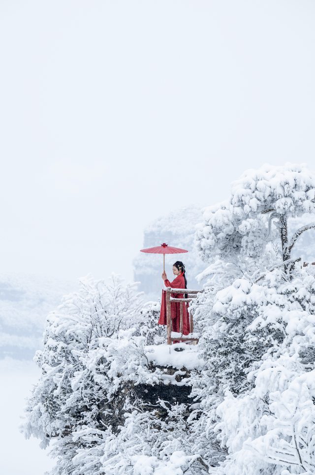 接下来的光雾山，四川人必游！耍雪、赏雪，一次性拿捏多重快乐～