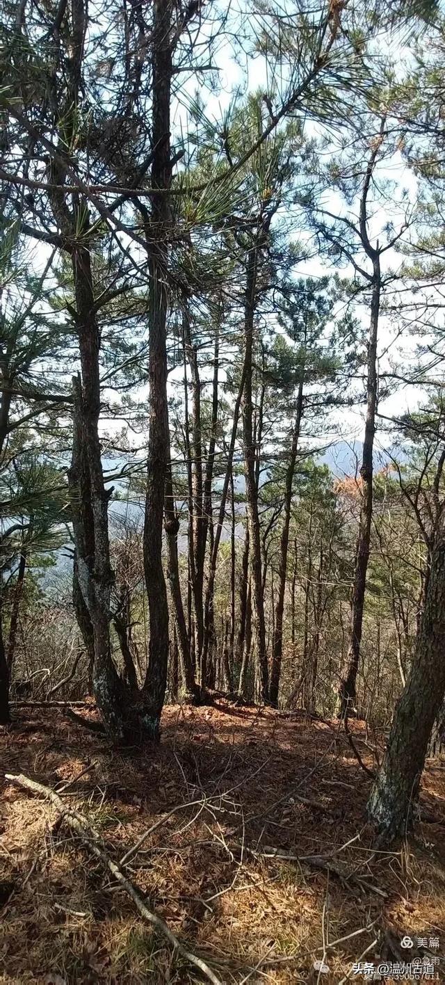 探秘楠溪江源头!这条海拔千米以上的草甸山脊只有极少数驴友知道