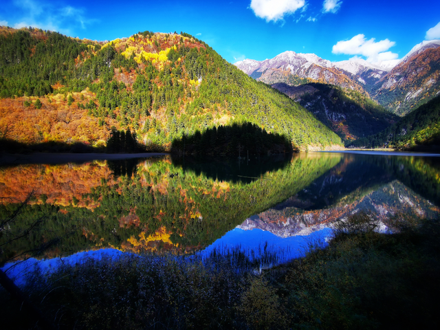 九寨沟十一月的开场，是落叶纷飞染透山川，是彩林叠翠映雪山
