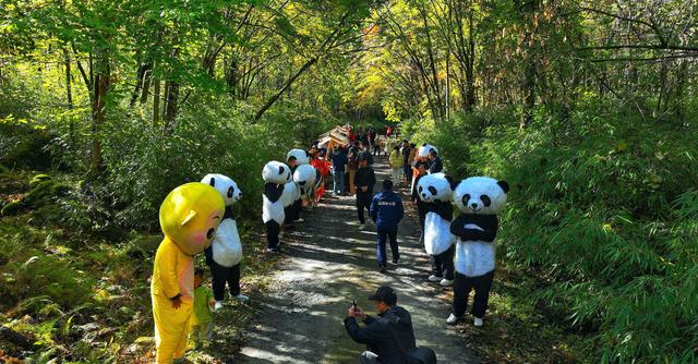 看满山红叶来这里，离广元2仅小时，3条线路任你玩，人少景美！