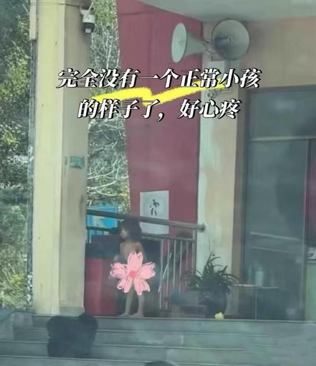 “野人小孩”最新后续：司法部门调查“父母拍猎奇视频牟利”传闻