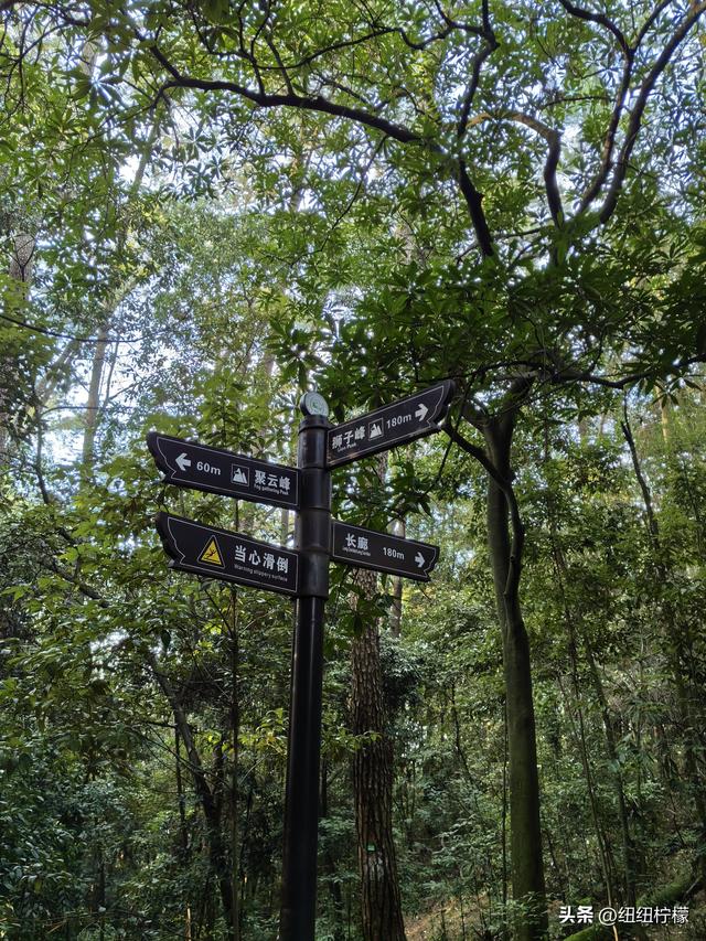 户外徒步之挑战缙云九峰，从健身梯道到狮子峰，走了四小时