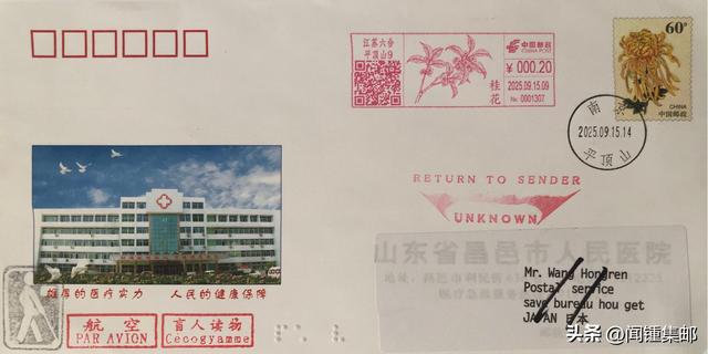 桂花树下赏桂花