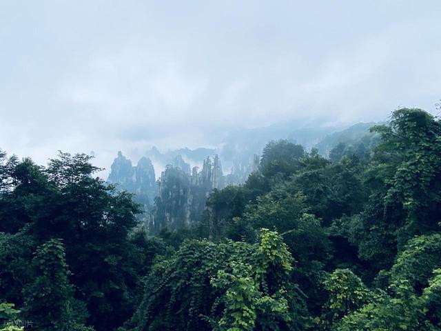 强烈建议！5 月一定要去一次张家界！不愧是中国必看奇峰之一！
