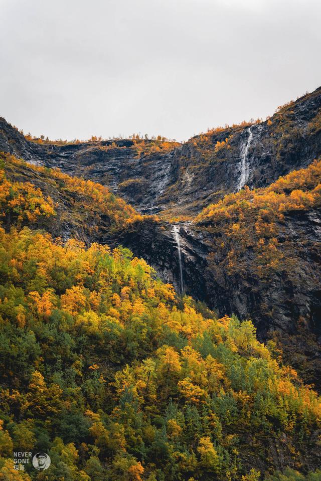 挪威秋韵，峡湾森境