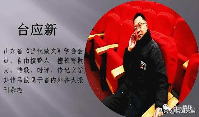 老济南的“百年北大槐树街”