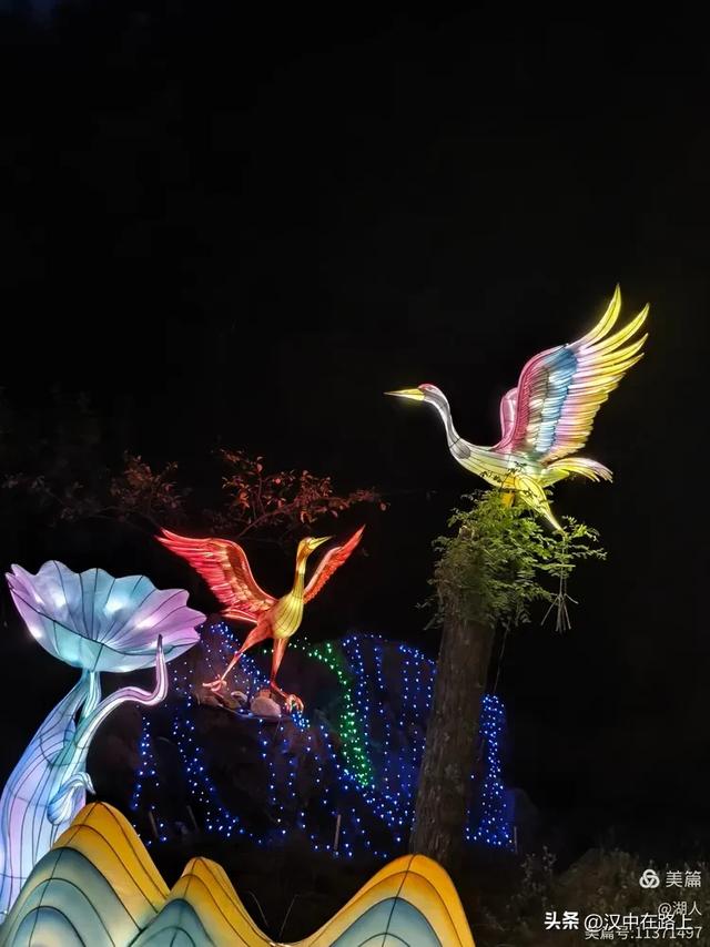 当光影遇上森林,汉中的夏夜如此动人清凉!