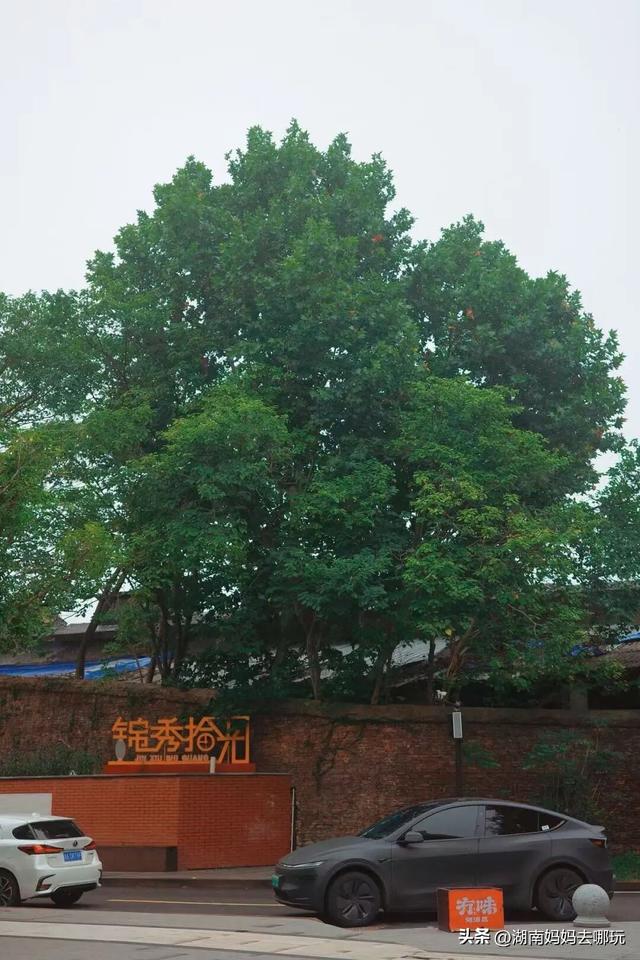 长沙妈妈私藏！河西新晋遛娃宝地，竟藏着“清迈”同款松弛感