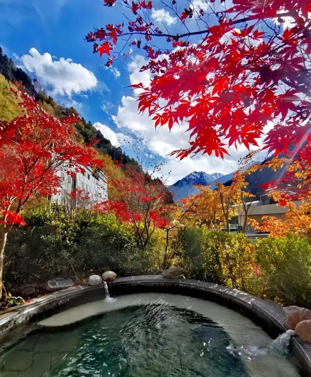 今年理县红叶开挂了！红得惊动天地，美到不可方物