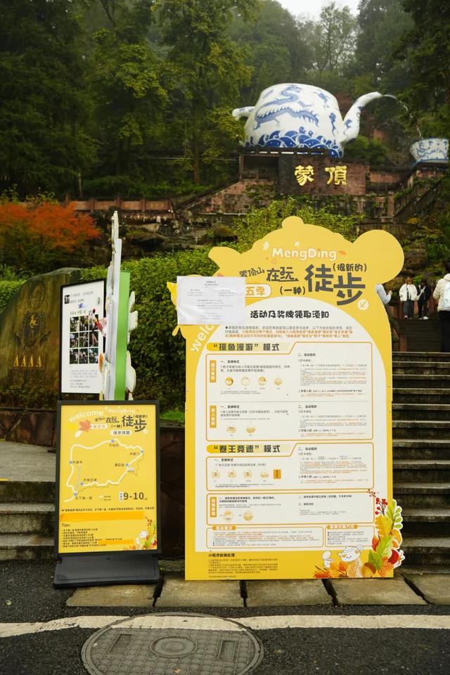 黄了！成都出发1.5h刹拢赏秋秘境，茶海风光无敌，银杏美了上千年！