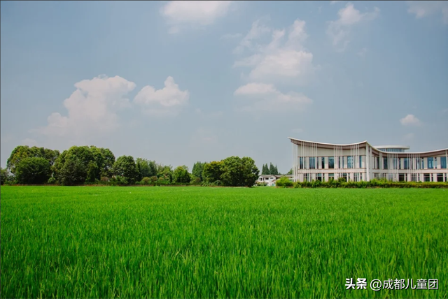 夏天一定要看一次稻田！这4处可看，还能喝下午茶逛博物馆