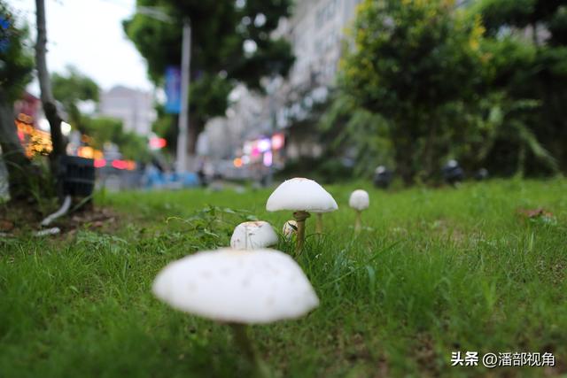 国庆期间，就在无锡长江路上扫个街，曾经的热闹不再