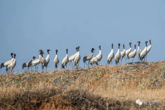 今起，毕节一景区免门票！