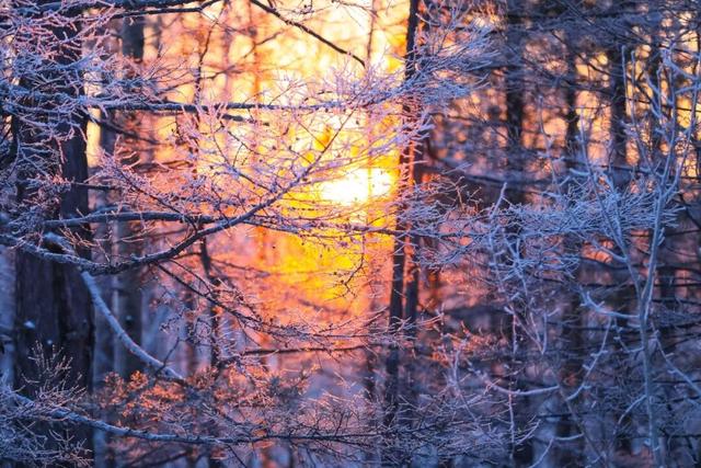 收藏！漠河冬季旅游全攻略