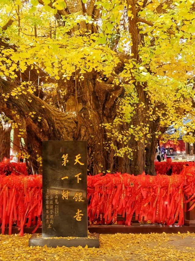 “县”在出发！解锁莒县的N种玩法！