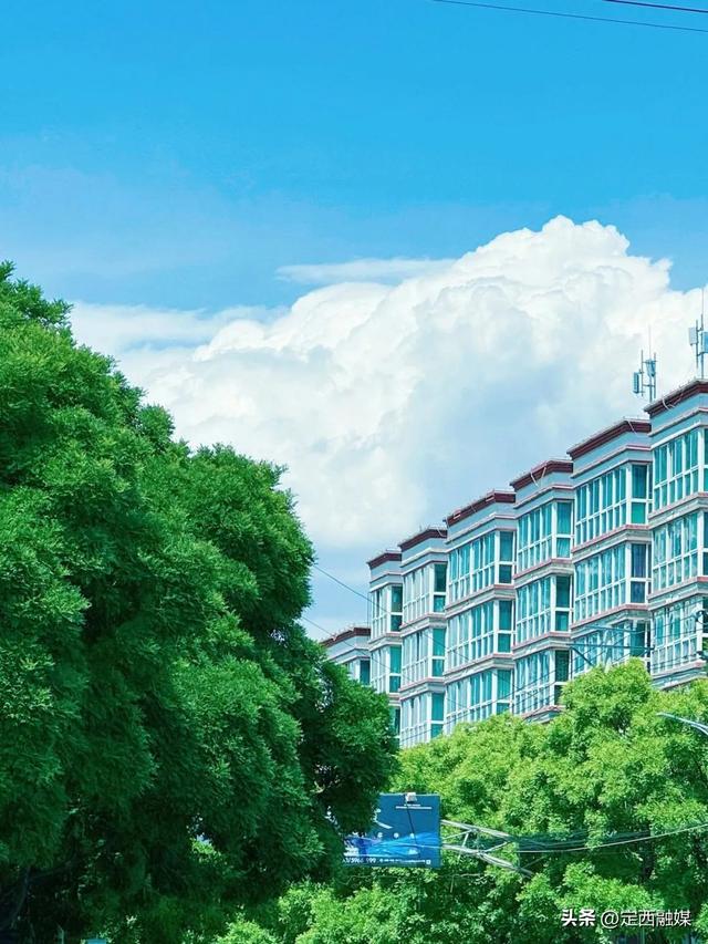 救命！临洮的夏天也太治愈了吧～