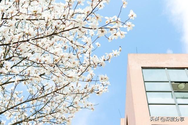 牵了手的你	，一辈子都和我相守，我的爱，这一生只予你