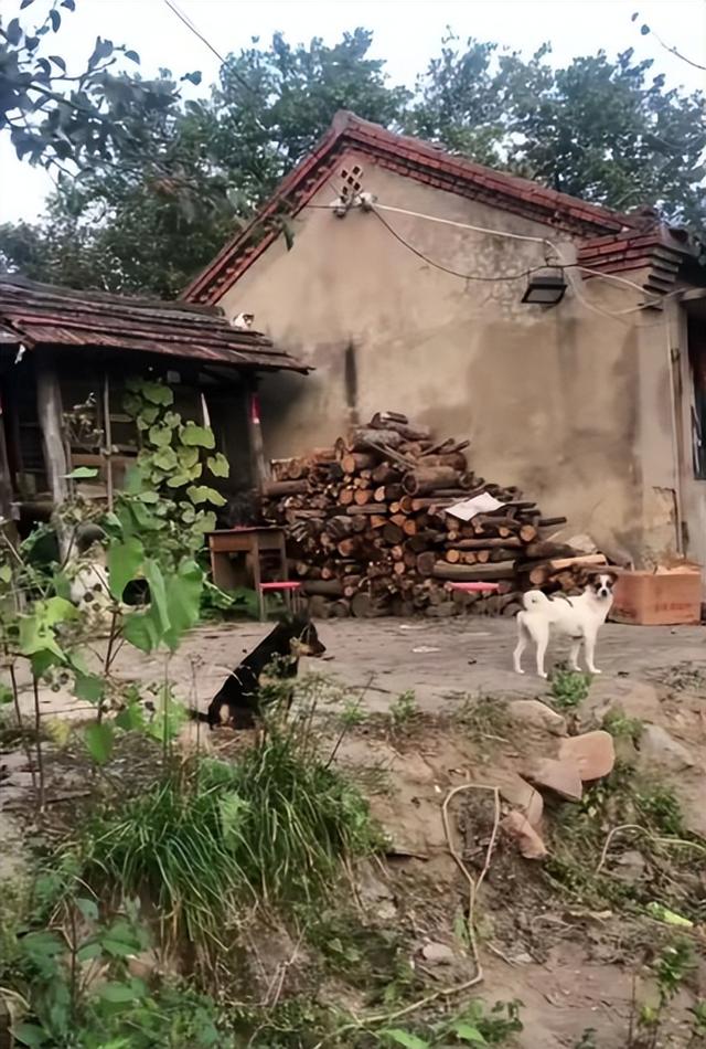 善恶终有报，这次再度被点名的三只羊、东北雨姐，给内娱敲响警钟