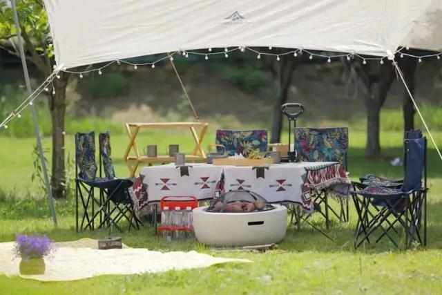 初冬逛沪郊!奉贤、崇明限时优惠来啦