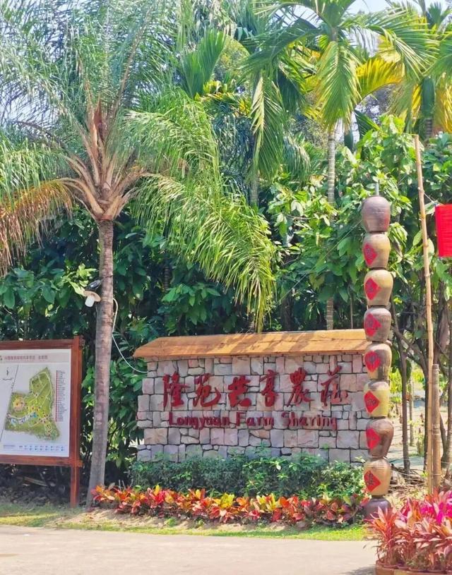 春节游万宁兴隆｜解锁热带归侨的暖冬年味！