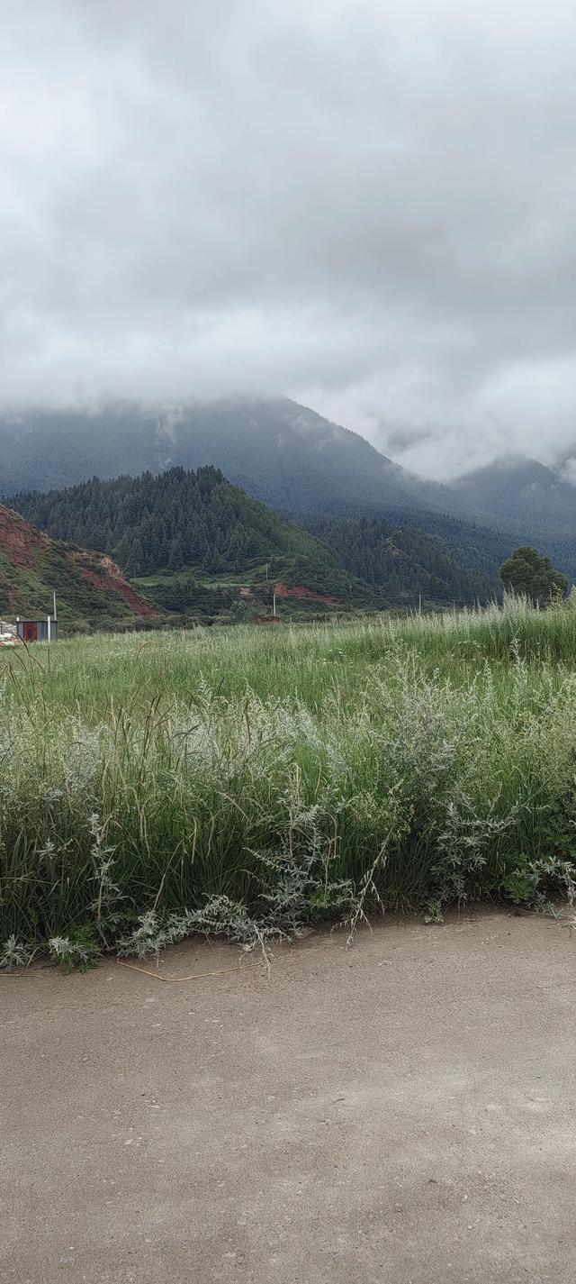 马蹄寺千佛洞旅游文化景区。