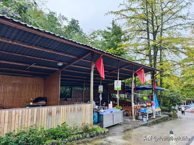 四川行(73)什邡红枫岭徒步到钟鼎寺