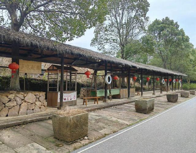 游在鹰潭｜学生搭子团秋季攻略！轻松玩转4大宝藏地「全球学子嘉游赣 奇绝鹰潭逍遥游」