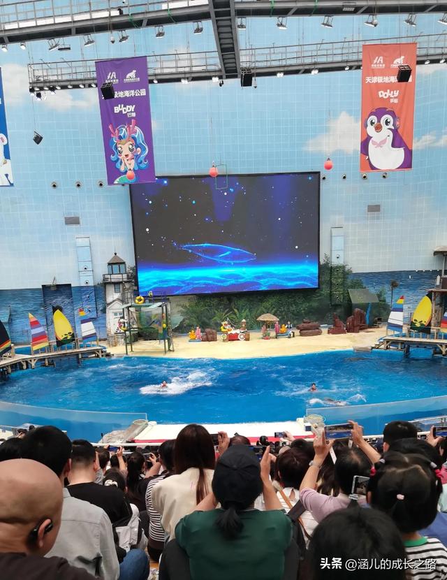 最新天津极地海洋馆一日游攻略——亲测实用!所有演出都可看完!