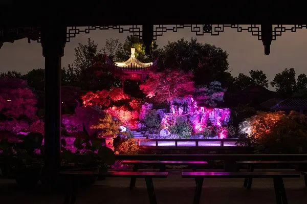 温室夜游，露天电影，夜场观展……夏夜消闲就在“双子山”下