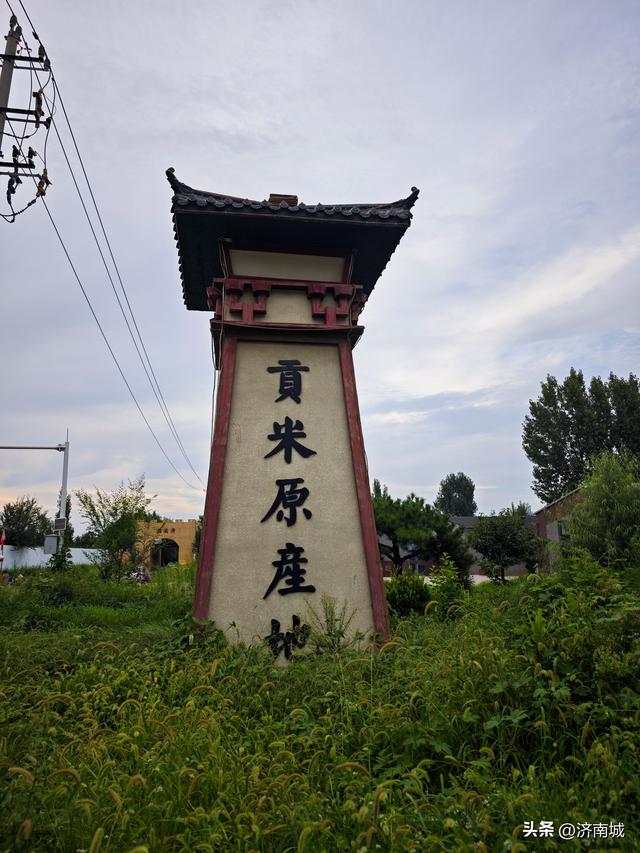 偶遇龙泉路上的千年历史文化