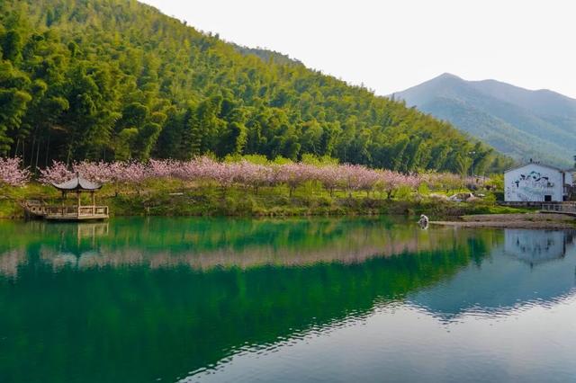 宜兴乡村之美，美在哪儿？