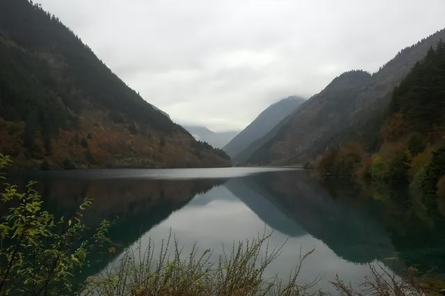 11月必游！九寨沟的绝美秋色，错过等一年！