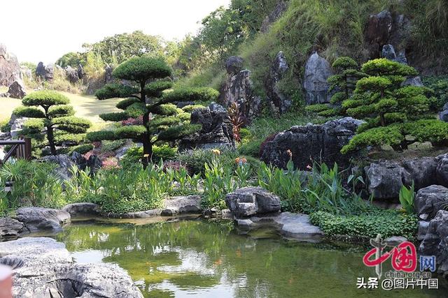 昔日“疤痕”变美景 探访南宁园博园矿坑花园生态修复项目