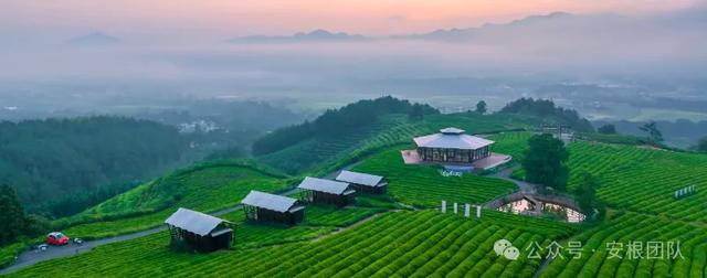 茶园旅游与在地化