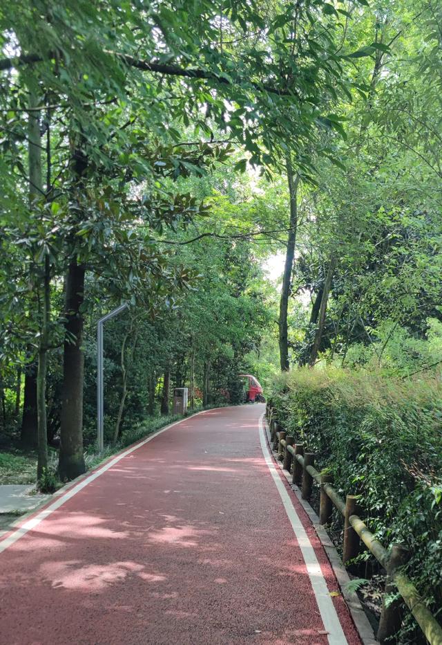 伏天漂游江岸河