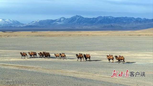 阿克塞：哈尔腾高原美景如画